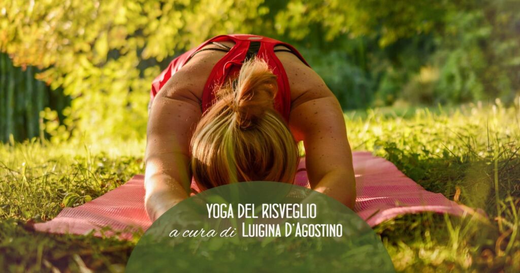Il Monastero Buddista che ospita le lezioni di Yoga a cura dell'insegnante Luigina D'Agostino, si trova in Via Tivera a Cisterna di Latina.